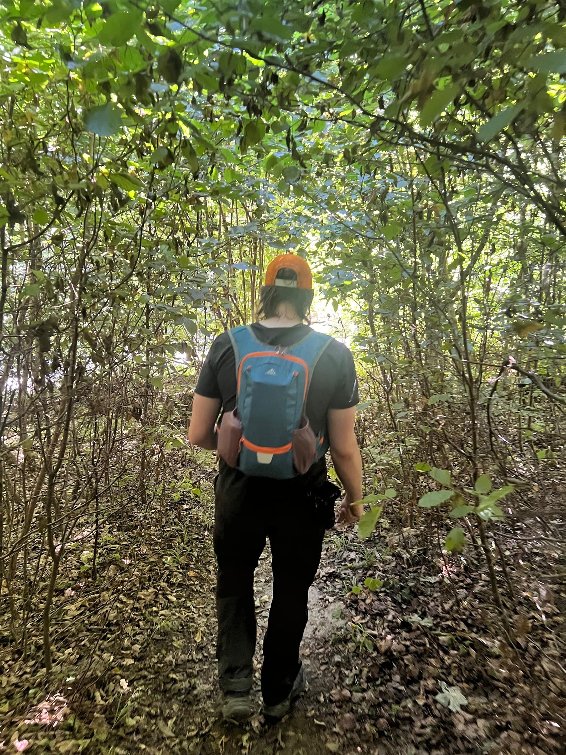 Wanderer mit Rucksack auf einem Waldweg